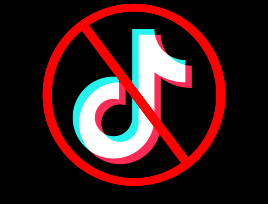 TikTok ban